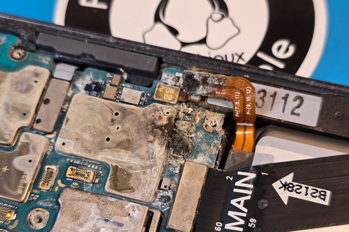 Smartphone tombé dans l’eau : les bons réflexes